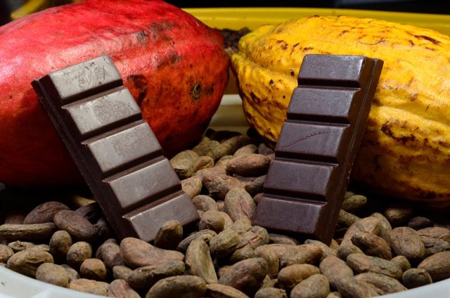 camara-aprova-projeto-que-define-percentual-minimo-de-cacau-em-chocolates-proposta-segue-para-o-senado