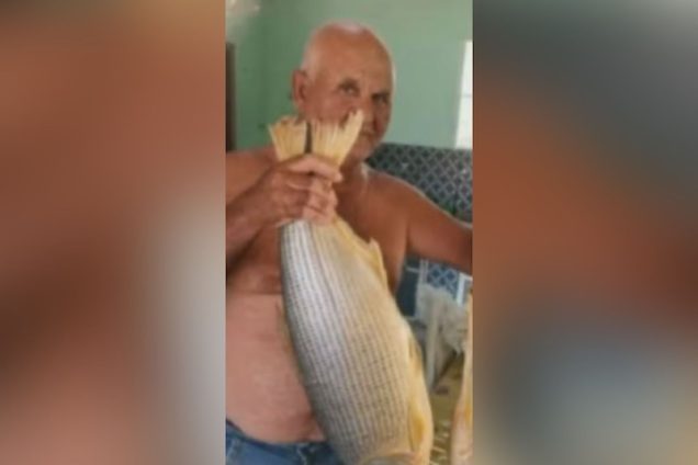 idoso-e-atacado-por-abelhas-enquanto-conduzia-trator-e-morre