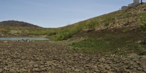 el-nino-intensifica-calor-e-reduz-chuva-em-area-preservada-na-amazonia