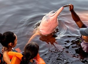 inseguranca-e-barreira-para-62%-das-mulheres-viajarem-sozinhas