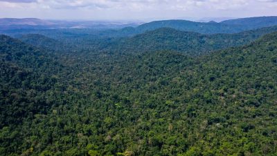 desmatamento-no-amazonas-caiu-32%-entre-agosto-e-fevereiro-deste-ano
