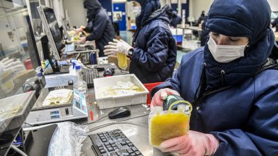 dia-mundial-da-hemofilia:-campanha-reforca-importancia-do-diagnostico