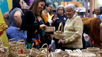 brasil-ja-tem-4,5-milhoes-de-empreendedores-da-economia-prateada