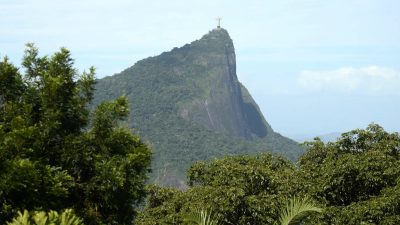 estudo-mostra-o-impacto-das-jaqueiras-na-mata-atlantica