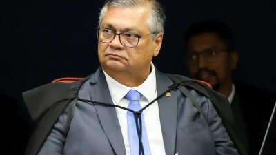 dino-da-10-dias-para-governo-mostrar-plano-de-combate-a-incendios