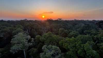 viva-maria-celebra-o-dia-mundial-do-meio-ambiente