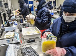 projeto-dispensa-licitacao-para-medicamentos-produzidos-pela-hemobras