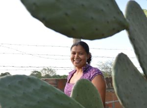 mulheres-comandam-producao-em-duas-em-cada-dez-propriedades-rurais