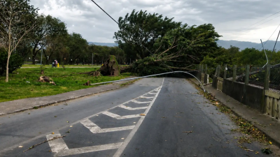 ventos-fortes-matam-tres-pessoas-em-sao-paulo