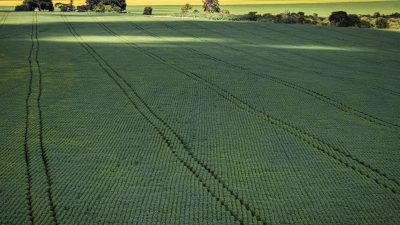 senado-aprova-plano-para-fabricacao-de-fertilizantes-no-brasil