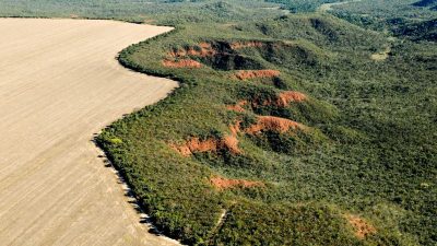 onu-reconhece-iniciativa-de-restauracao-do-cerrado-como-referencia
