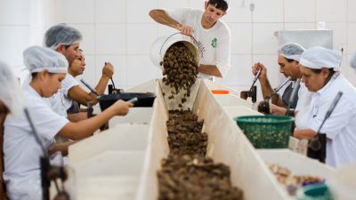 consulta-sobre-bens-sustentaveis-no-acordo-mercosul–ue-acaba-na-quarta
