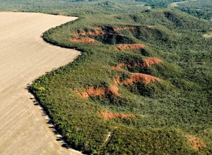 cerrado-perdeu-249-mil-hectares-de-area-de-rios-e-lagos-em-40-anos