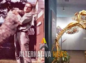 CAPA ALTERNATIVA NEWS LOGO (9)