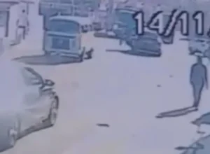 IMAGEM_NOTICIA_9 (6)