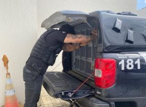 policia-civil-preso-640x485